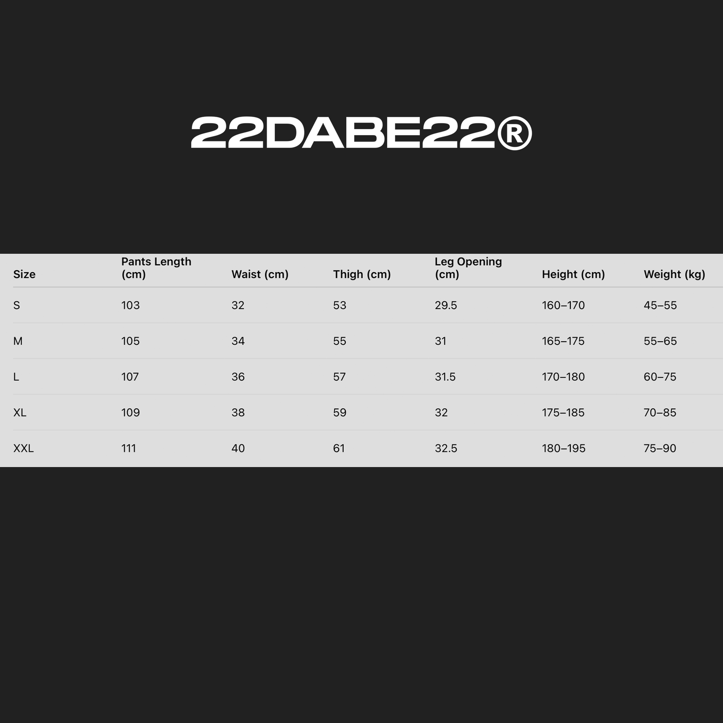 Jogger Grey Washed - 22DABE22® - 22DABE22®